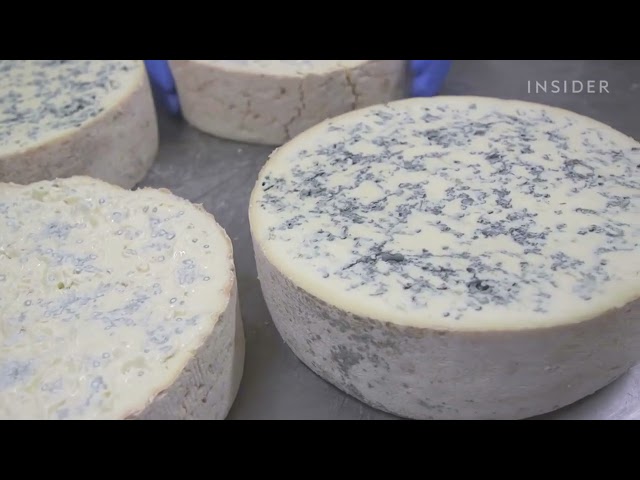 con que acompañar el queso gorgonzola