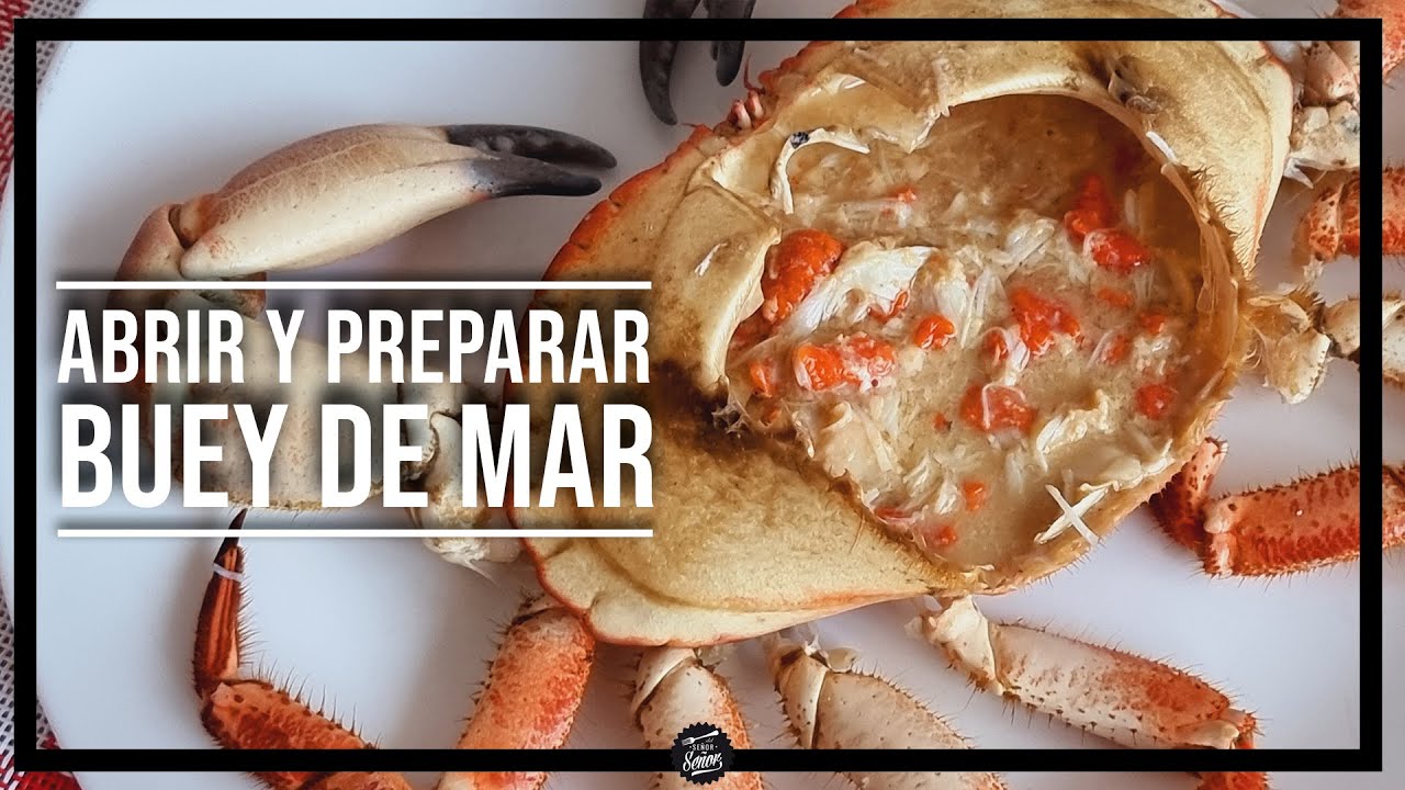 como abrir un buey de mar