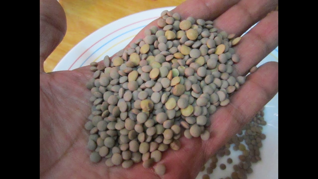 cantidad de lentejas por persona en crudo