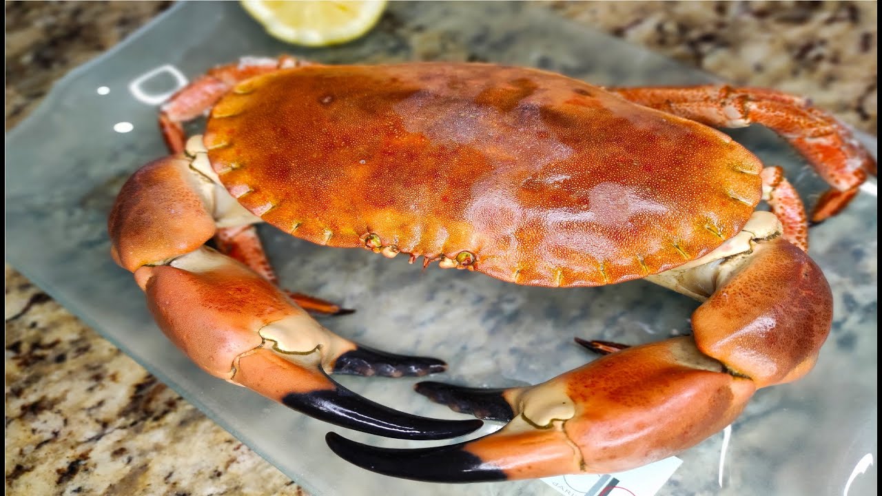 como limpiar un buey de mar