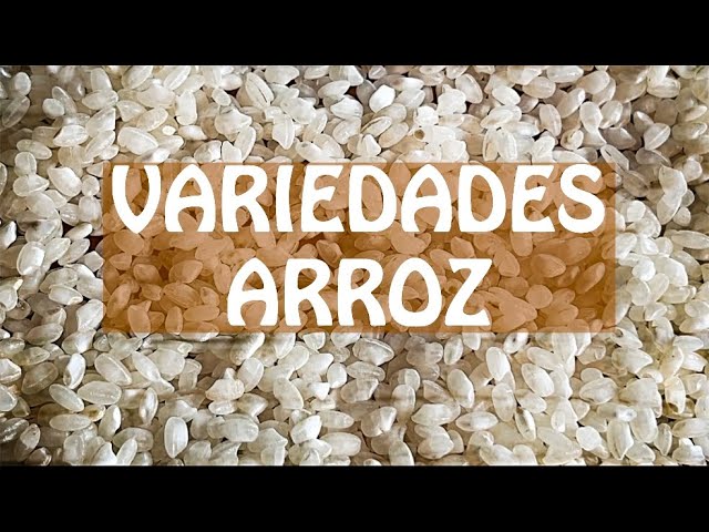 cual es el mejor arroz para paella