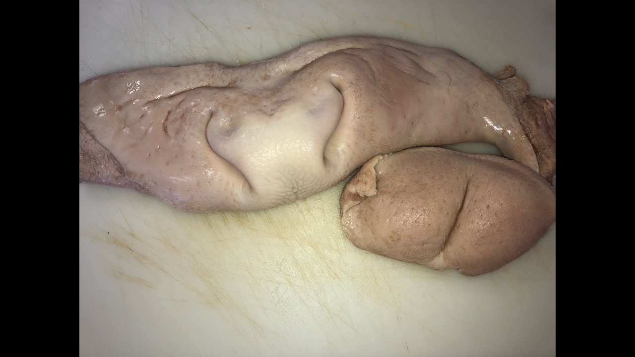 morro de ternera en olla express