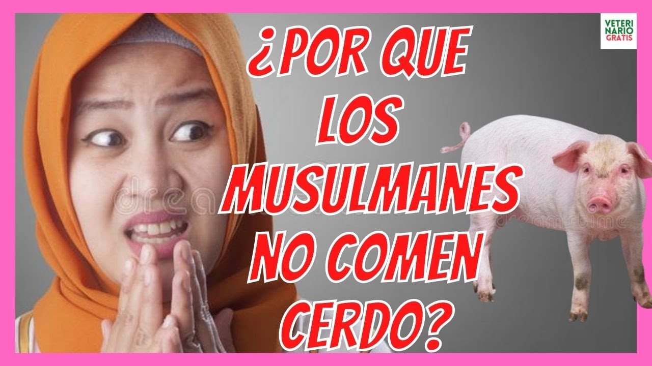 porque los musulmanes no comen cerdo