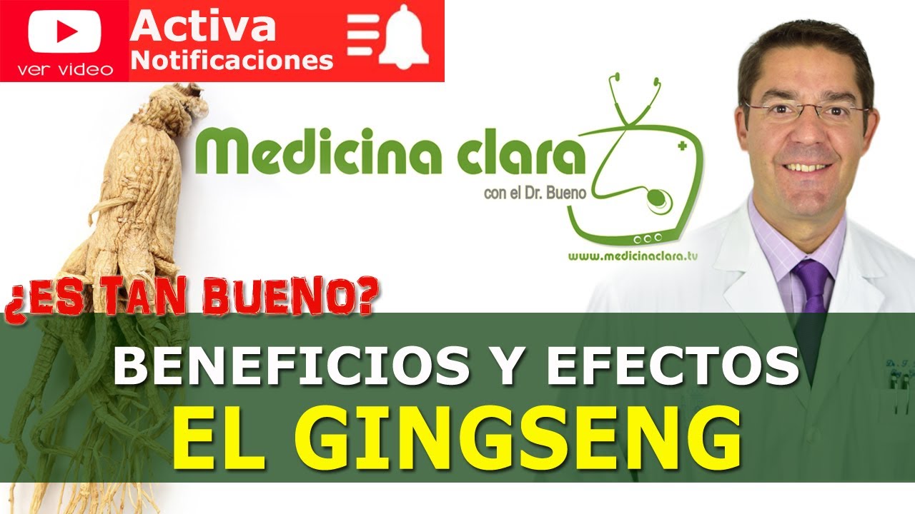 que son las raices de ginseng