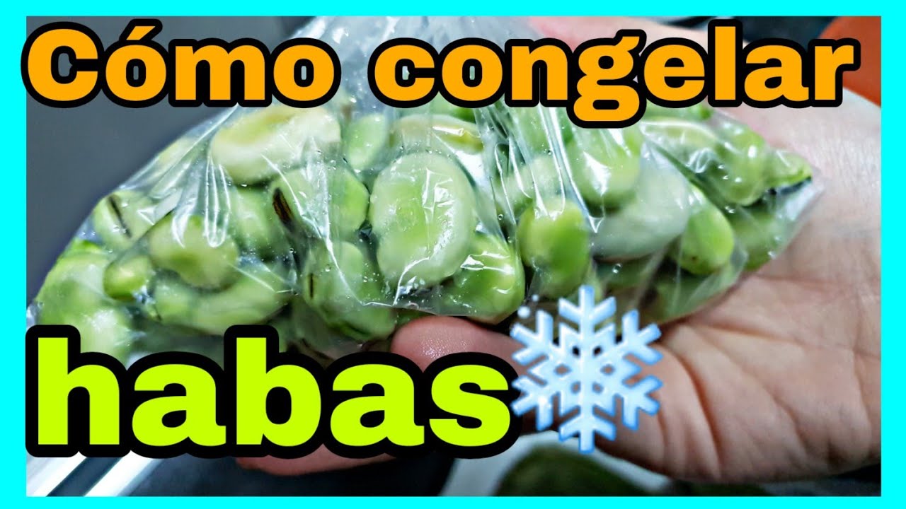 se pueden congelar las habas crudas