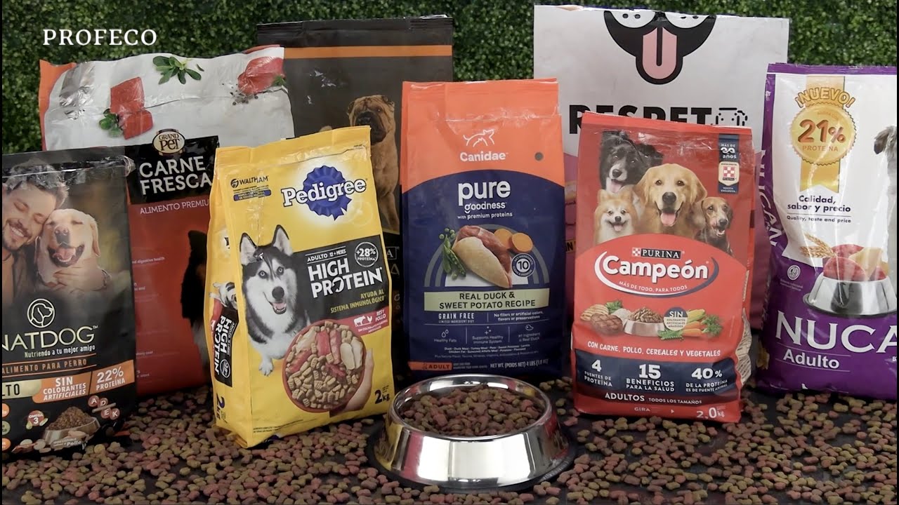 alimentos para perros de buena calidad