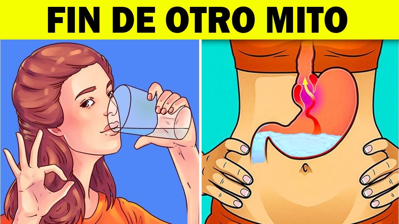 beber agua antes de comer engorda