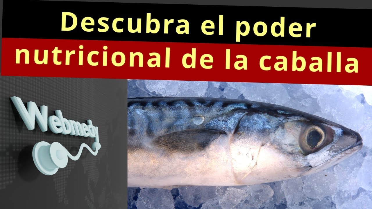 beneficios de la caballa en lata