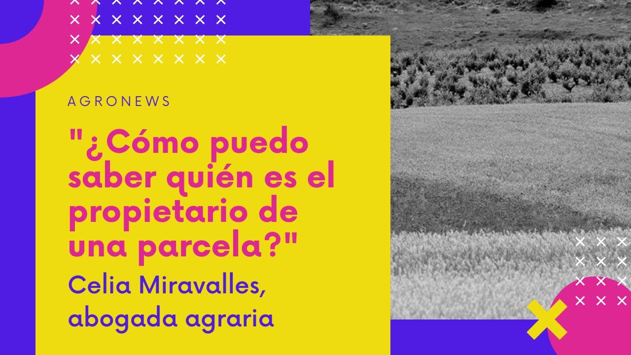 como saber el titular catastral de una finca