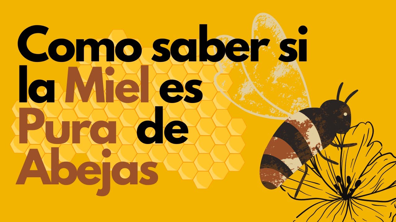 cómo saber si la miel está en mal estado