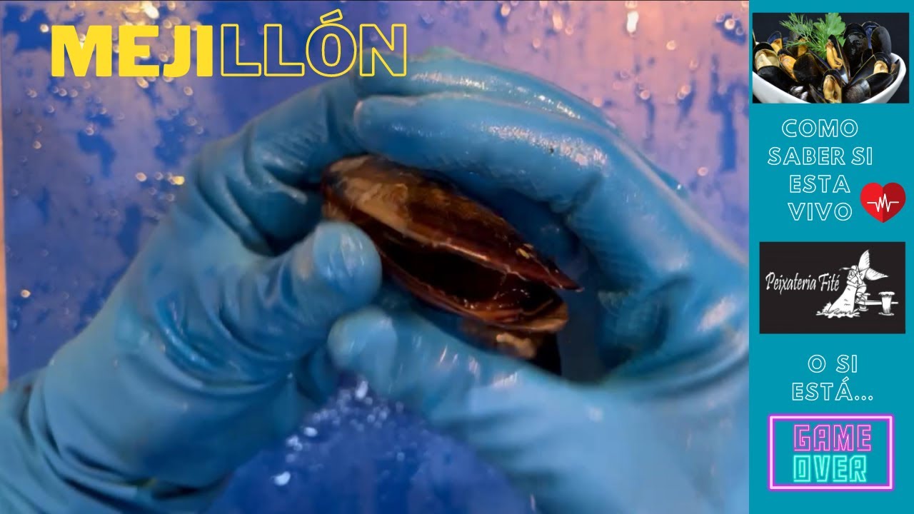 como saber si los mejillones estan bien