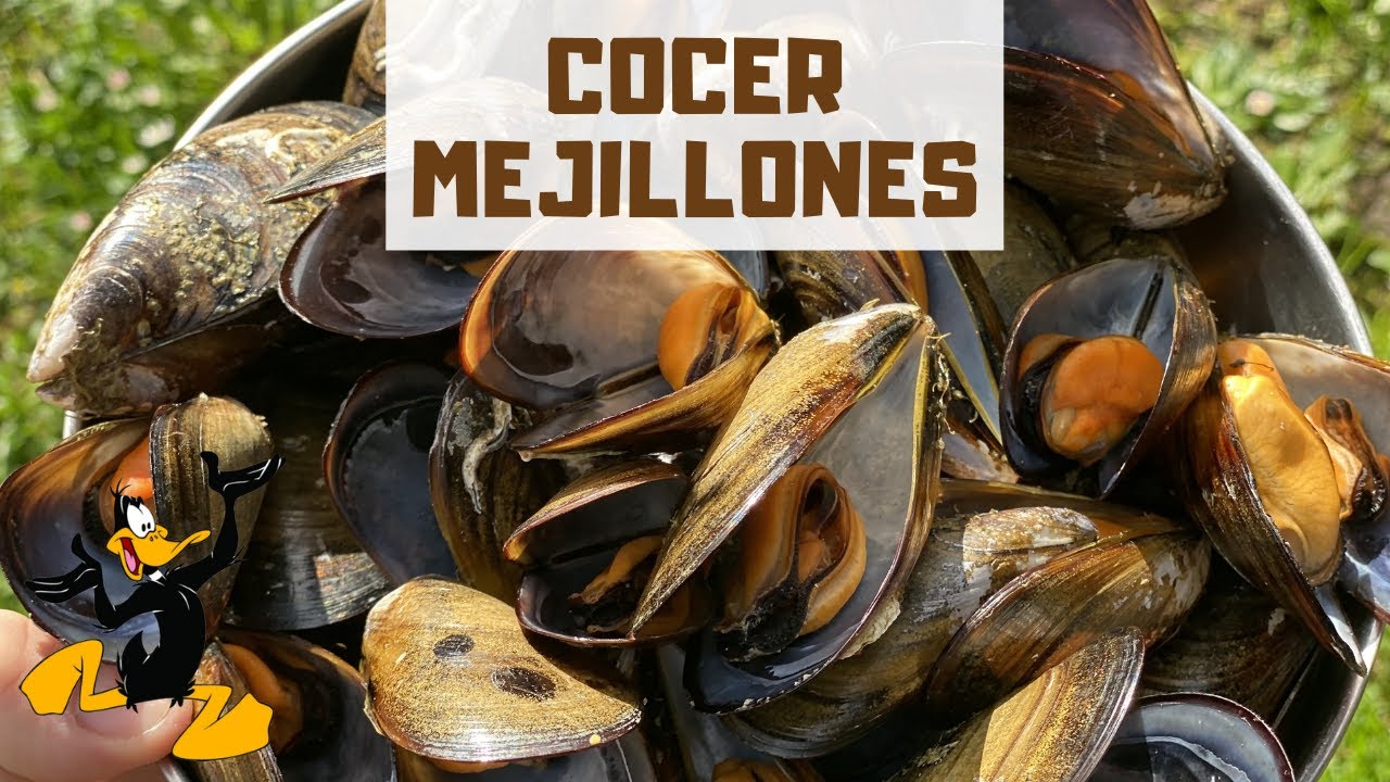 cuando es el tiempo de los mejillones
