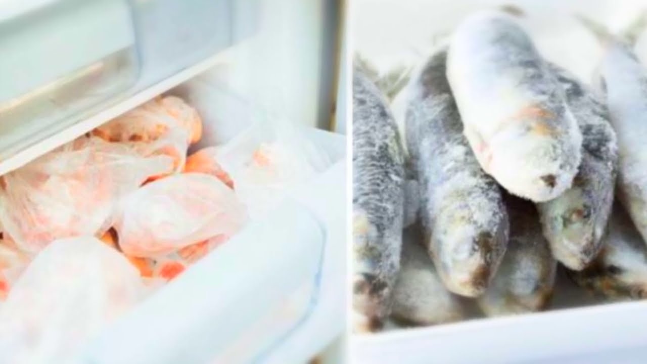cuanto dura el pescado en el congelador