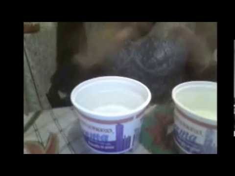 cuanto tarda una gelatina en cuajar