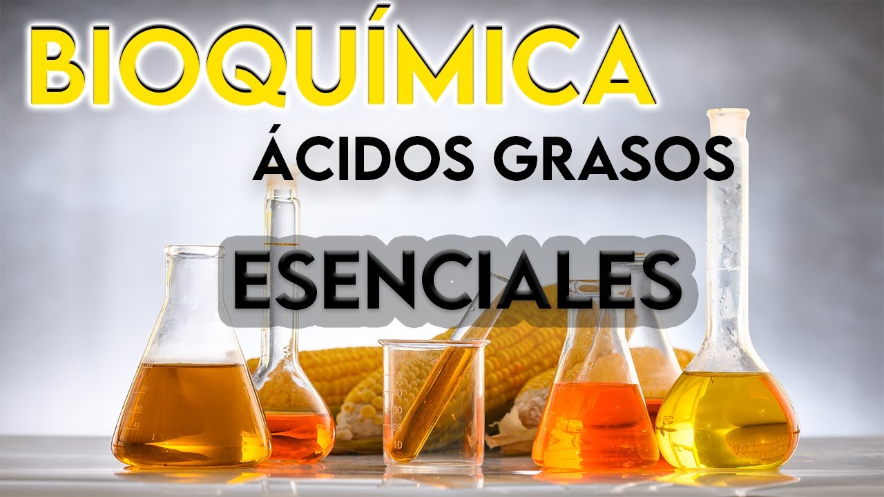 donde se encuentran los acidos grasos esenciales