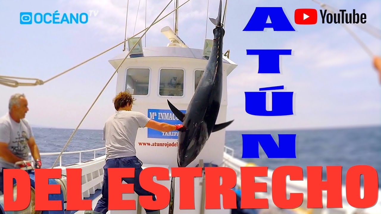donde se pesca el atún rojo en españa