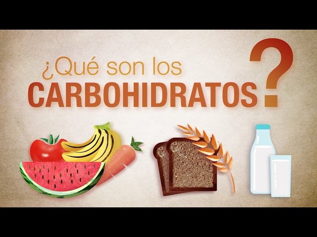 el arroz es un hidrato de carbono