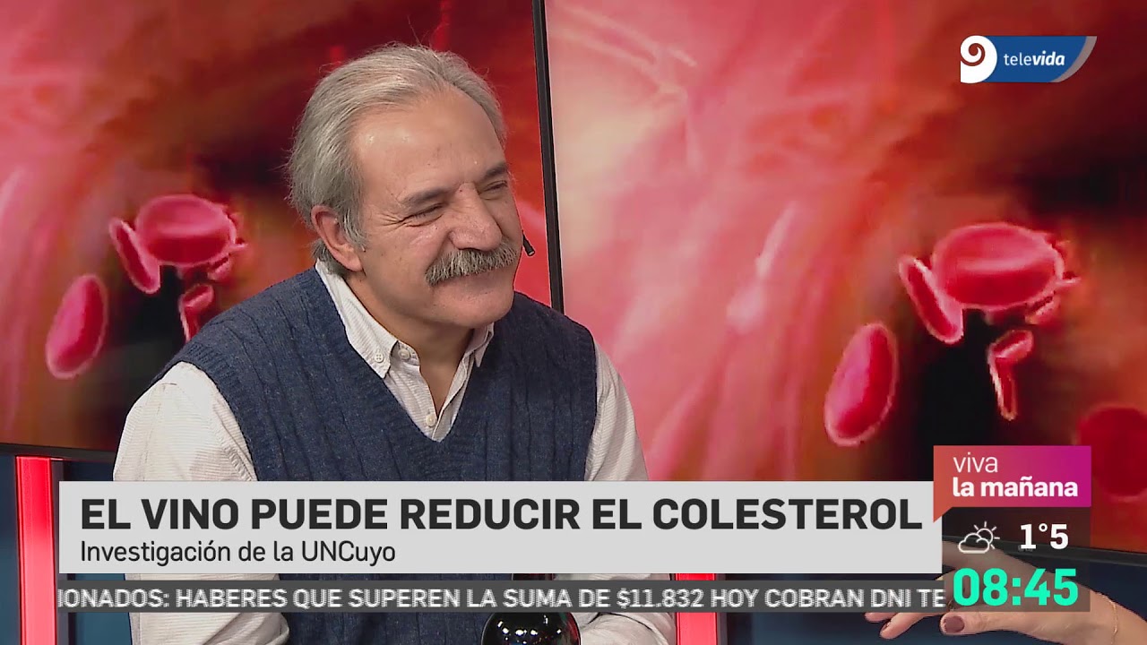 el vino es malo para el colesterol
