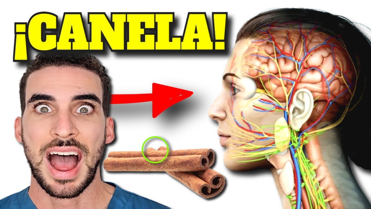 es bueno tomar canela todos los dias