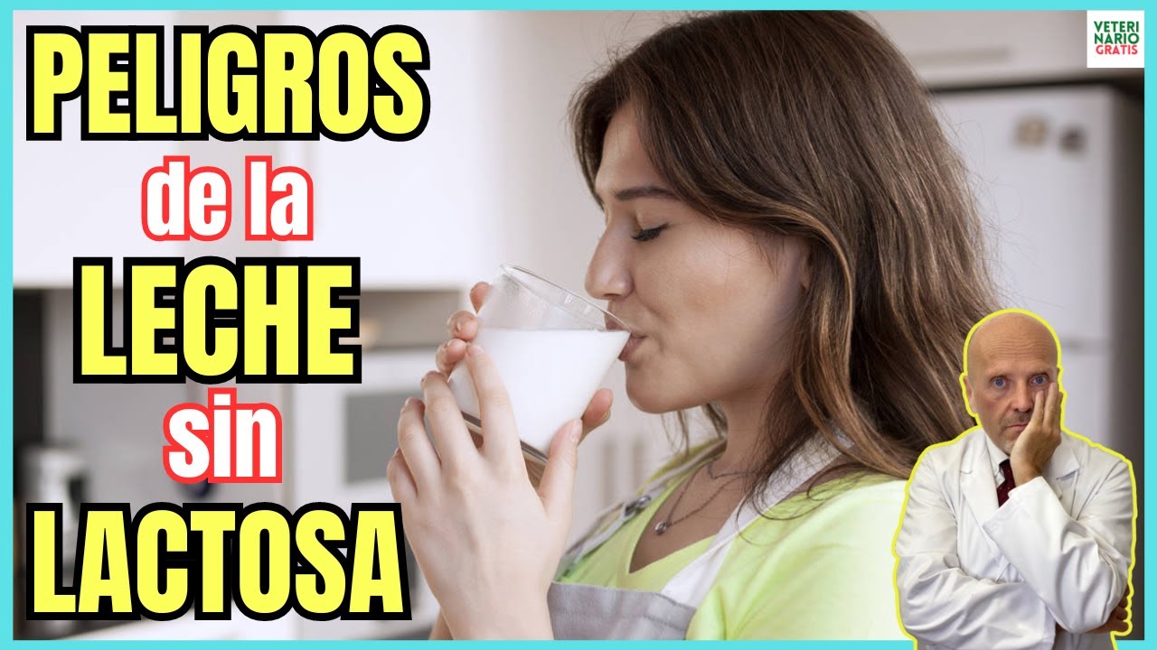 es malo tomar leche sin lactosa si no eres intolerante