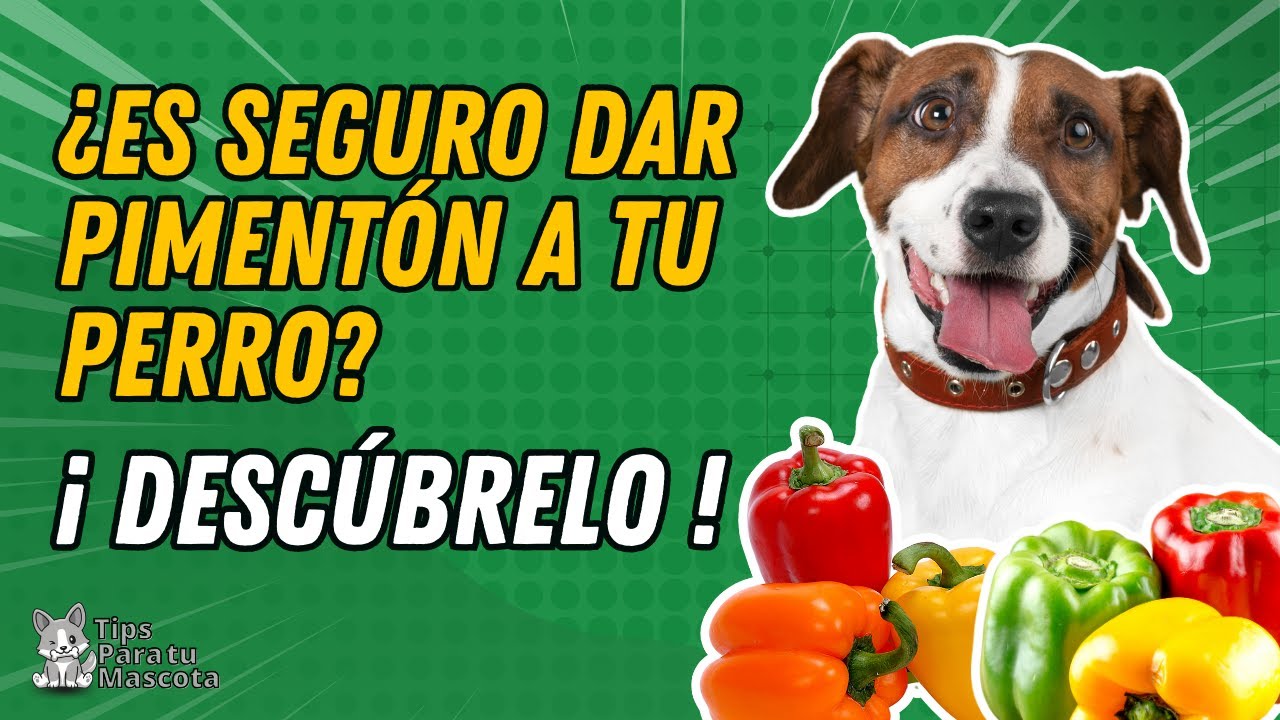 los perros pueden comer pimiento verde