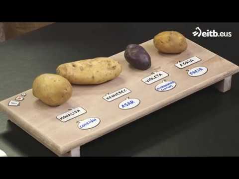 patata roja o blanca para tortilla