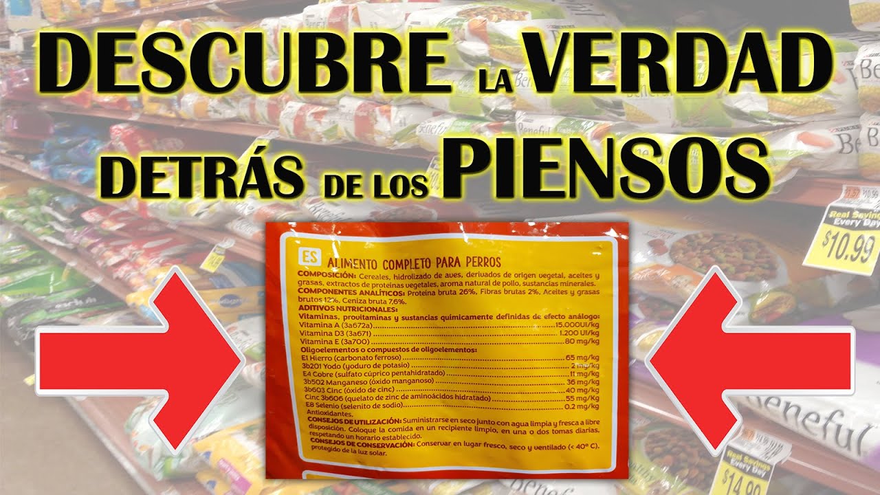 pienso para perros barato y bueno