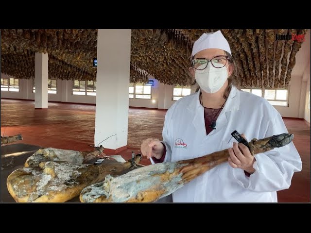 porque le sale moho al jamón