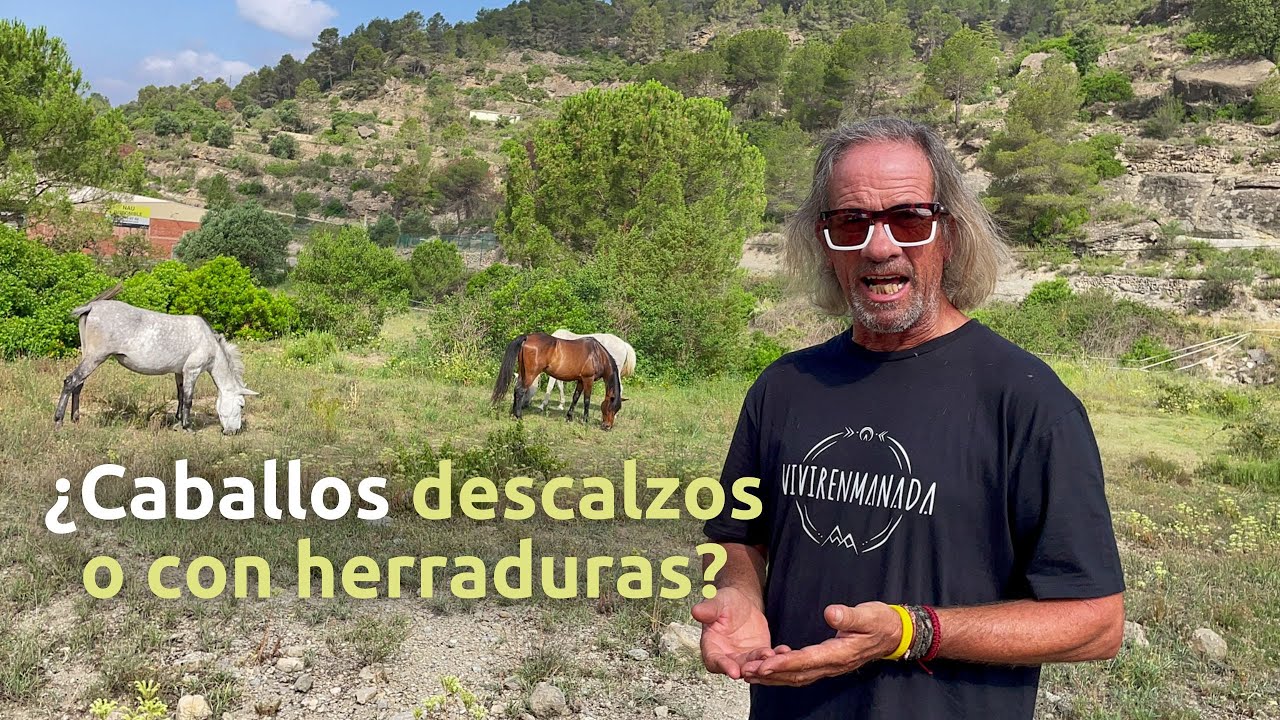 porque los caballos salvajes no necesitan herraduras