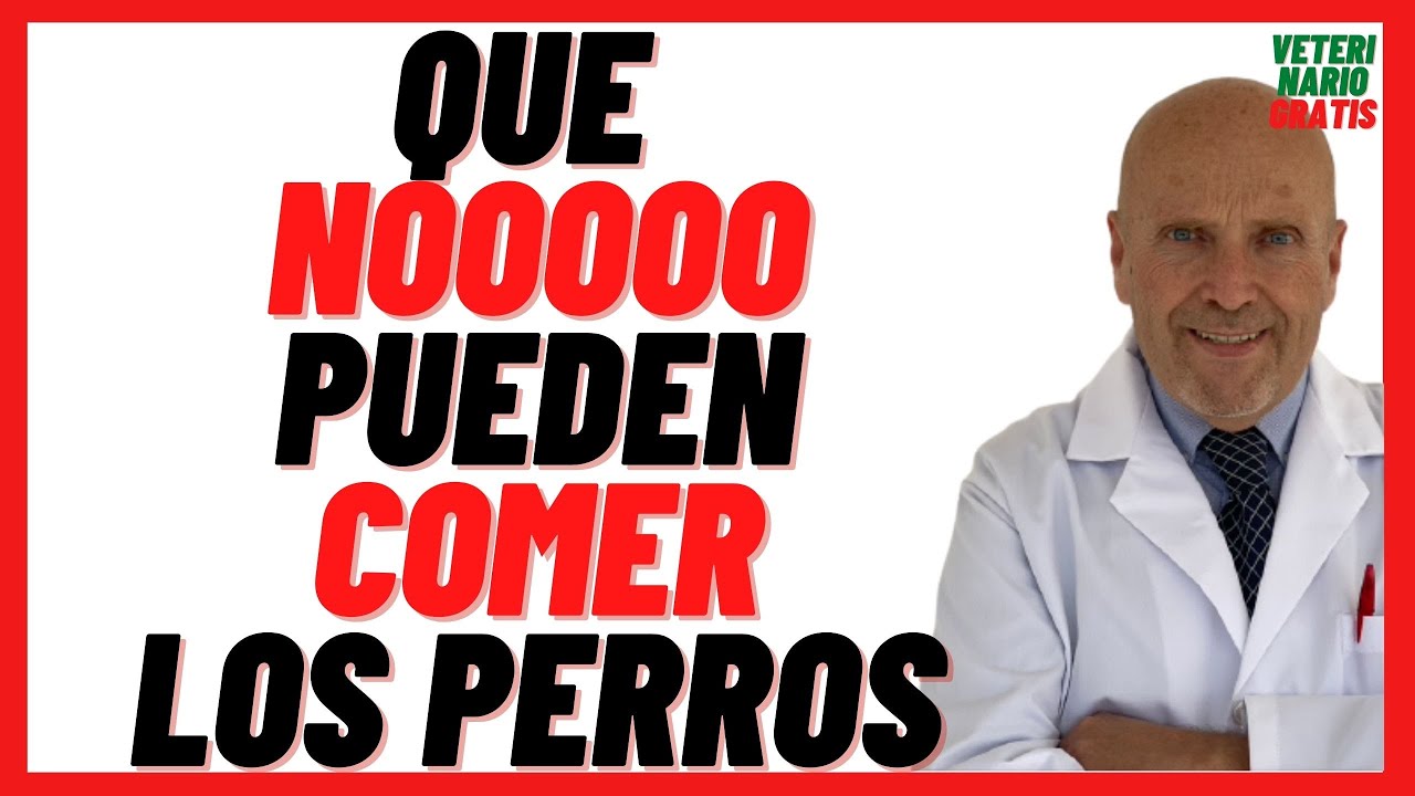 que alimentos no pueden comer los perros