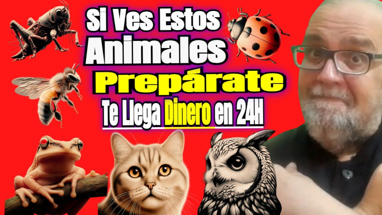 que animales traen mala suerte en la casa