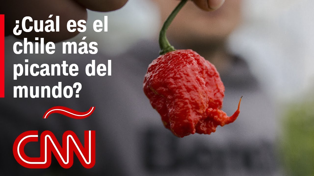 que es lo mas picante del mundo
