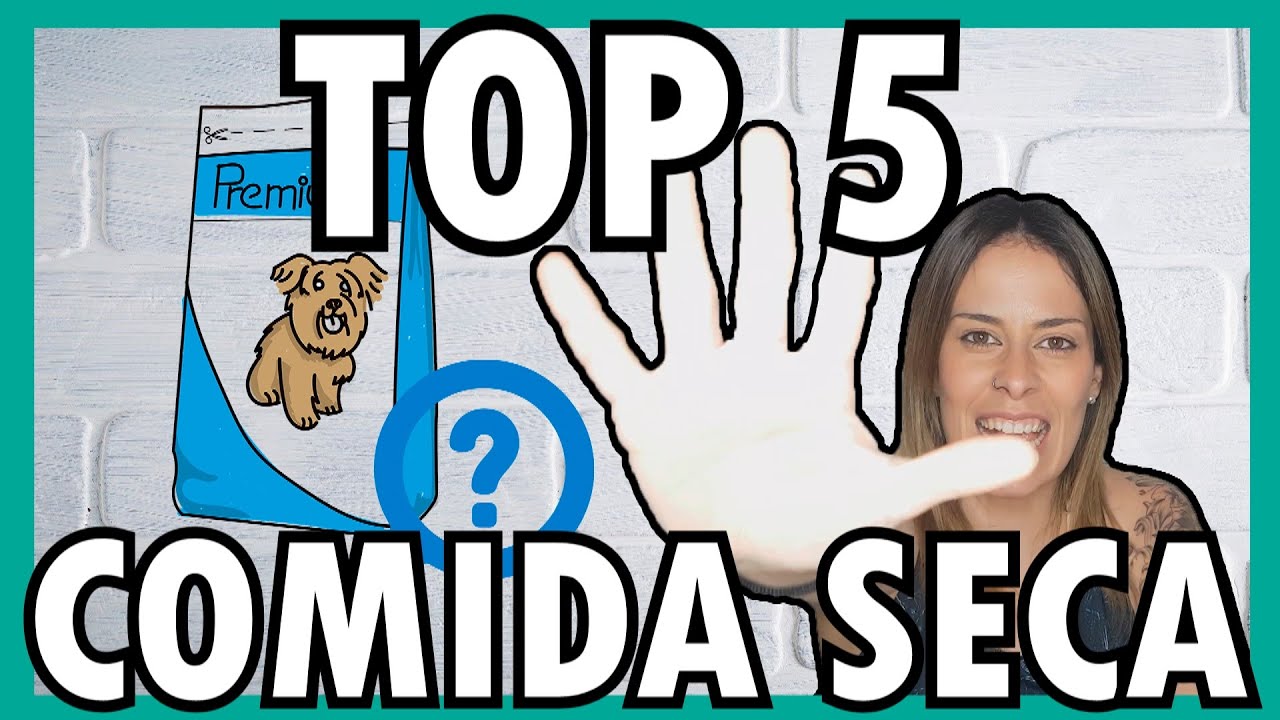 que marca de pienso es mejor para perros