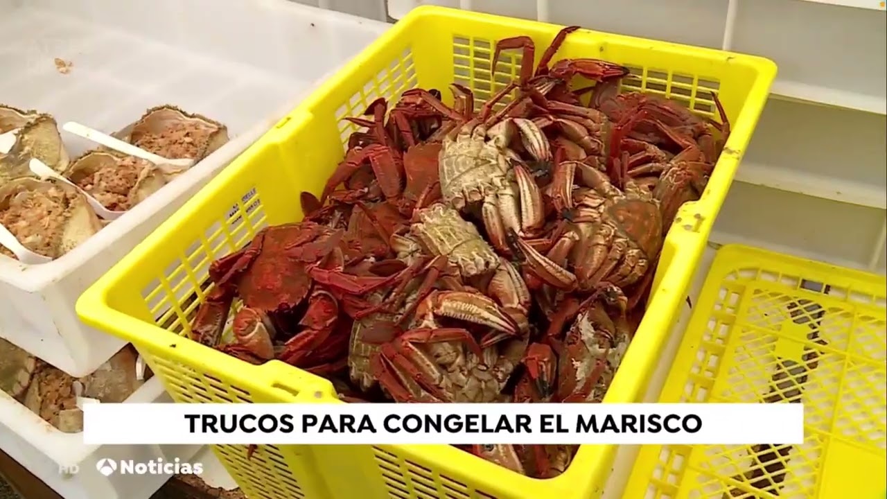 se puede congelar el marisco cocido