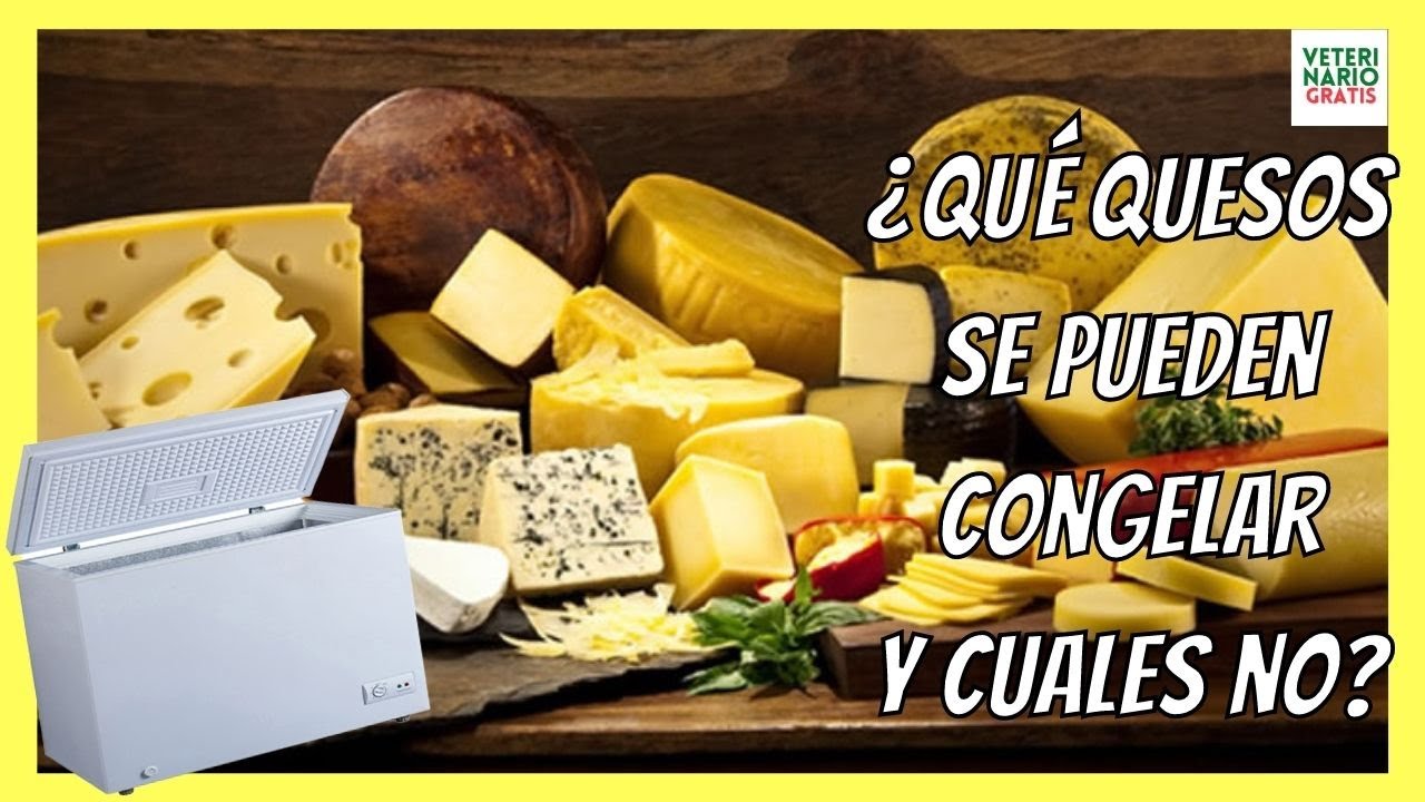se puede congelar el queso tierno