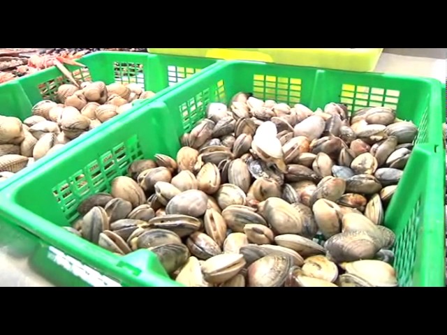 se puede congelar la crema de marisco