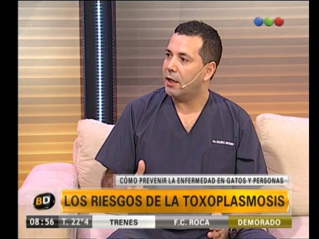 si soy inmune a la toxoplasmosis puedes comer de todo